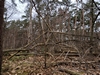 keersop20240131