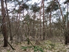 keersop20240310