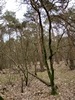 keersop20240310
