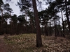 keersop20240310
