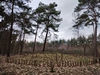 keersop20240310