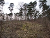 keersop20240310
