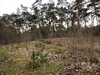 keersop20240310