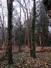 keersop20240311