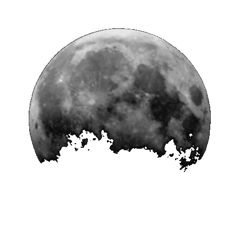 volmaan