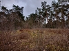 keersop20240316