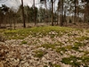 keersop20240316