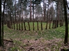keersop20240316