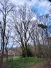 keersop20240316