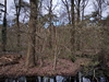keersop20240316