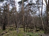 keersop20240317