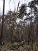 keersop20240317