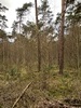 keersop20240317