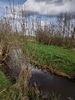 beekloop20240319