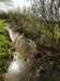 beekloop20240319