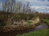 beekloop20240319