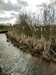 beekloop20240319