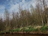 beekloop20240319