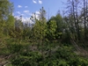 keersop20240410