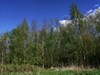 keersop20240410
