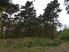 keersopIMG_20240411