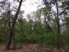 keersopIMG_20240411