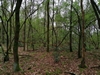 keersopIMG_20240411