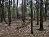 keersopIMG_20240411