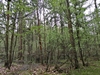 keersopIMG_20240411