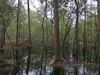 keersopIMG_20240411