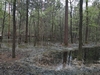 keersopIMG_20240411