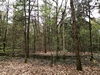 keersopIMG_20240411