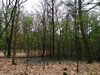 keersopIMG_20240411