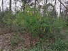 keersop20240412