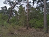 keersop20240412