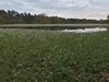 keersop20240412