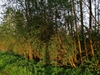 keersop20240413