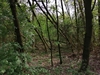 keersop20240414