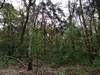 keersop20240415