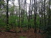 keersop20240416