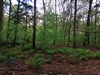 keersop20240417