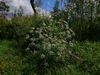 keersop20240418_125716