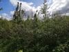 keersop20240418_125716