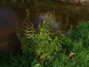 keersop20240418_125716