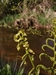 keersop20240418_125716