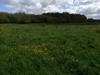keersop20240418_125716
