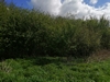 keersop20240418_125716