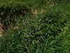 keersop20240418_125716