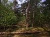 keersop20240430