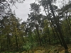 keersop20240430